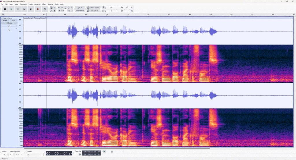 Audacity-Windows-Audio-Recording-Waveform-1